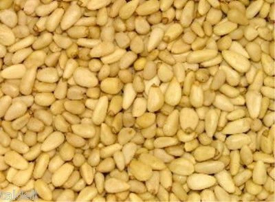 FRESH SEALED BAG OF PINE NUTS / PINENUTS 500g - A1 FOR PESTO (FREE POST)