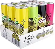 Level Lemonade | High Magnesium, High Vitamin C & Low Sugar Sports Drink | 30 calories | Multi Flavour Pack (3 Cans of Original, Pineapple, Cola & Raspberry