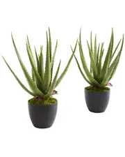 Nearly Natural Set of 2 Aloe Artificial Plants
