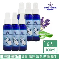 在飛比找momo購物網優惠-【BodyTemple 身體殿堂】精油乾洗手6入(100ml