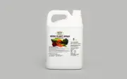 Neem Plant Spray Oil Concentrate