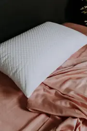 Bambi SleepWise Thermoregulation Waterproof Pillow Protector Standard
