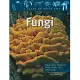 Fungi: Mushrooms, Toadstools, Molds, Yeasts, and Other Fungi