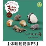 休眠動物園 釣魚日和 扭蛋 貓咪扭蛋 釣魚貓扭蛋 現貨扭蛋 快速出貨