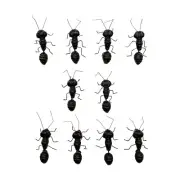 10 PCS Small Black Ants Refrigerator Magnet Gift for Bug Lover