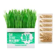 Cat Grass Planter Growing Pot Wheat Grass Growing Container Soilless Hydroponic