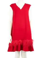 Red Ostrich Feather Trim Dress