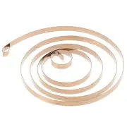 Toy Scroll Spring Child Clockwork Stuffers Clockwise 0.15*2*340)