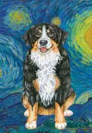 Bernese Mountain Dog Best of Breed Van Gogh Flag