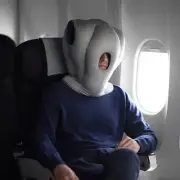 Ostrich NWT Napping Pillow