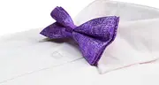 Mens Purple Sparkly Glitter Patterned Bow Tie