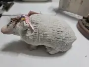 Vintage STONE armadillo doorstop CRI CAST ART INDUSTRIES SIGNED NWT ARTISAN