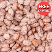 Commercial 20 lb. Dried Pinto Beans Kitchen Restaurant Food Bulk Pantry Supply