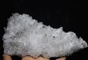 1.76lb Clear Natural Beautiful White Chrysanthemum Crystal Cluster Specimen