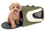 Airline Approved Collapsible Zippered Folding Sporty Mesh Travel Fashion Pet ...