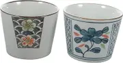 HAKIDZEL Japanese Tea Cup Set 2pcs Delicate Ceramic Teacups Vintage Style for Tea Lovers