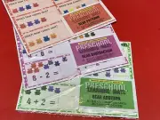 Bear counter Bundle - Set of 18 Learning Mats / Cards - Laminated Activity