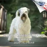 Wheaten Terrier Soft Coated Wall Calendar 2025 Animal DOG PET Lover Gift