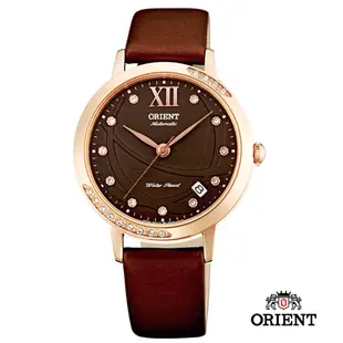 ORIENT 東方錶 ELEGANT系列 時尚絹布錶帶機械錶-咖啡色/36mm