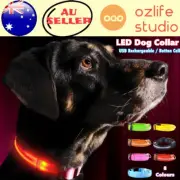 USB Rechargeable/Button Cell LED Dog Collar Nylon Flashing Safety Pet Collars