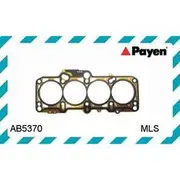 Payen Head Gasket - AB5370