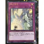 有點名 遊戲王 日紙 RC02-JP050 神的通告 金亮