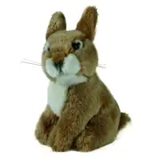 Living Nature Sitting Baby Rabbit 17cm Soft Stuffed Animal Plush Baby/Infant 0m+