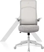 TT Airflex Ergochair Home Office Mesh Chair Executive Ergonomics Chair (Ashy Grey)
