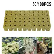 High Quality Grow Media Cloning Cubes for Successful Plant Propagation