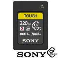 在飛比找momo購物網優惠-【SONY 索尼】CEA-G320T 320G/GB 800