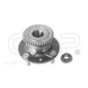 GSP Wheel Hub Assembly - 228056K