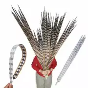 10pc Artificial Realistic Pheasant Feathers for Diy Costume Props Stage Carnival