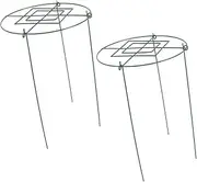 TOYANDONA 2Pcs Sturdy Metal Plant Trellis for Potted Plants Durable Climbing Support Frame Rack for Indoor and Outdoor Use for Flower and Vine Growth