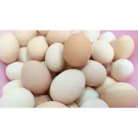 在飛比找蝦皮購物優惠-10顆🥚95元🥚高雄市區可面交【小農放牧】快樂放牧 ~土雞蛋