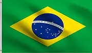 DMSE Brazil Brazilian Bandeira do Brasil Verde e amarela Ordem e Progresso Flag 2X3 Ft Foot 100% Polyester 100D Flag UV Resistant (2' X 3' Ft Foot)