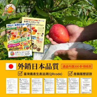 ★24盒送8份冰品★果肉綿密細緻~甜酸好吃★純的最好★【盧家芒果】無添加·鮮凍純愛文芒果冰棒 80g/支 4支/盒