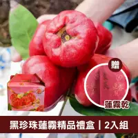 在飛比找台灣好農優惠-【林邊豪美】黑珍珠蓮霧精品禮盒 2入組