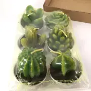 6 Pack Succulent Cactus Tea Lights Candles Delicate Candles for Home Decor