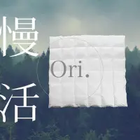 在飛比找momo購物網優惠-【Q-TACE】心舒淨羽絨被-ORI經典款 / 雙人