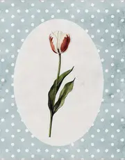 [Namly Design] Poster - Tulip on Dotted Background