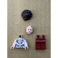 在飛比找蝦皮購物優惠-LEGO 樂高人偶 佩妮·德思禮 哈利波特 75968