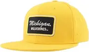 ZHATS Standard NCAA Officially Licensed Hat Flat Snapback Z11 Brick Secondary Color