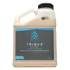 Tribus (Bacillus Microbes)