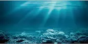 AWERT 48x18 inches Undersea Theme Aquarium Background Sunshine Underwater World Fish Tank Background Vinyl