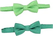 [Holibanna] 2Pcs Patrick's Day Bow Tie Neck Tie Accessories for Festival Parties for Photos and Dress Up Celebrations