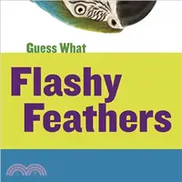在飛比找三民網路書店優惠-Flashy Feathers ― Macaw
