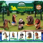 露營動物2 朝隈俊男 ANIMAL CAMP 大象 獅子 看書 動物露營 扭蛋 轉蛋