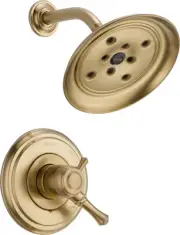 Delta T17297 Cassidy Monitor 17 Series Dual Function Pressure - Bronze