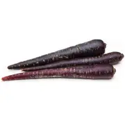 Organic Purple Carrots – Fresh, healthy organic delivery | Doorstep Organics