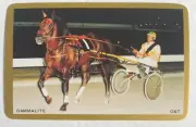 Gammalite Racehorse Harness Race Horse Racing Trotter VINTAGE Rare Old Swap Card